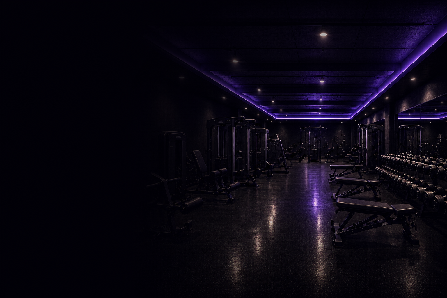 Modern gym interior with strength equipment lit in soft purple light